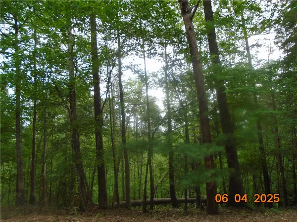 $1,183,800 | 1000 East Cedar Creek Road, Sunset, SC 29685