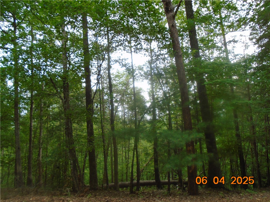 1000 East Cedar Creek Road Sunset, SC 29685 - Photo 11 of 17