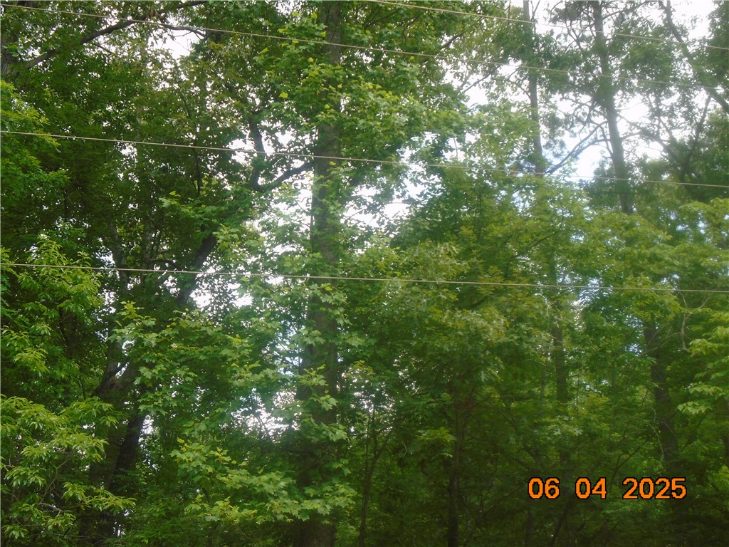 1000 East Cedar Creek Road Sunset, SC 29685 - Photo 12 of 17