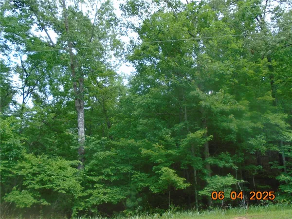 $1,183,800 | 1000 East Cedar Creek Road, Sunset, SC 29685