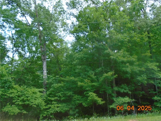 $1,183,800 | 1000 East Cedar Creek Road, Sunset, SC 29685