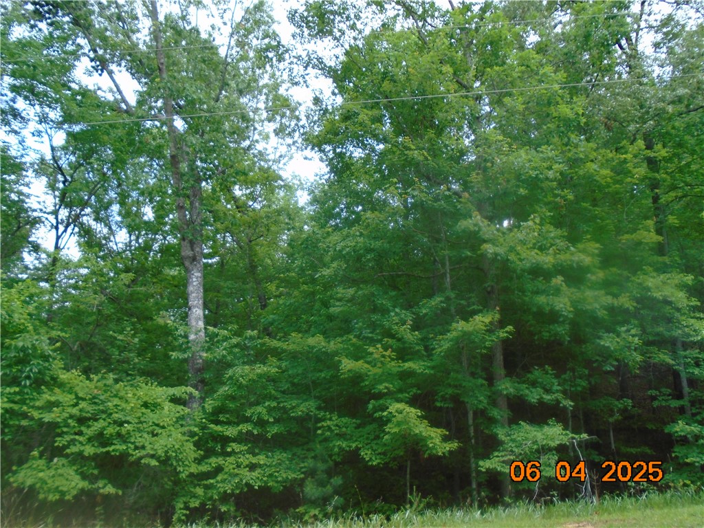 1000 East Cedar Creek Road Sunset, SC 29685 - Photo 13 of 17