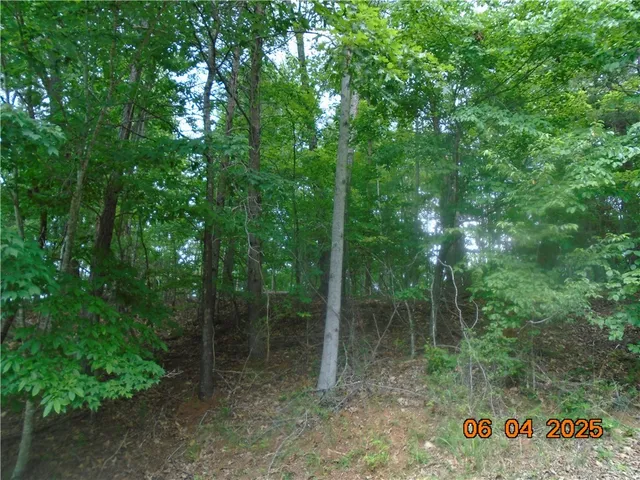 $1,183,800 | 1000 East Cedar Creek Road, Sunset, SC 29685