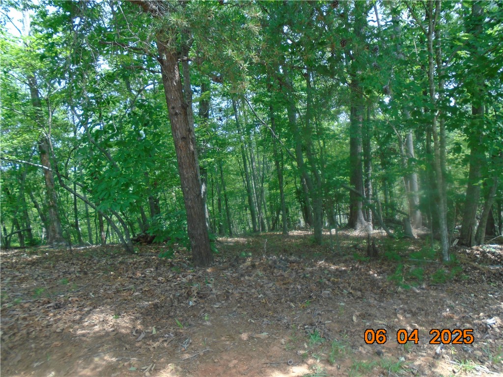 1000 East Cedar Creek Road Sunset, SC 29685 - Photo 15 of 17