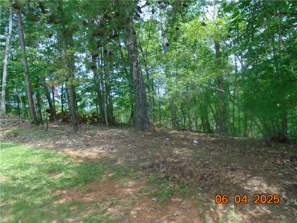 1000 East Cedar Creek Road Sunset, SC 29685 - Photo 16 of 17