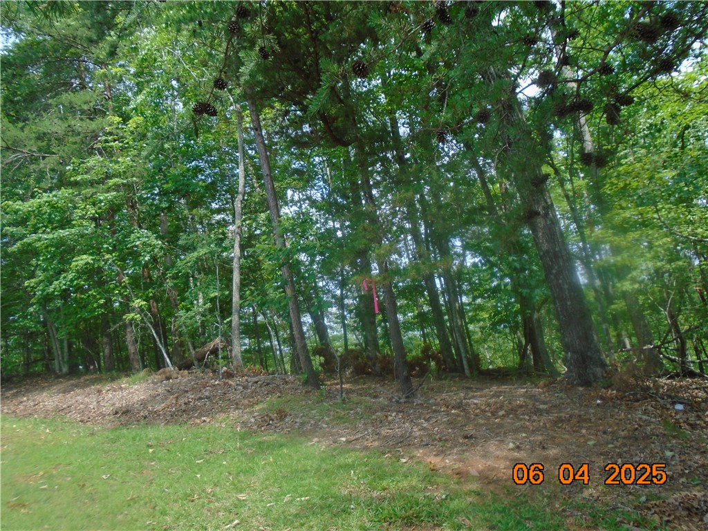 1000 East Cedar Creek Road Sunset, SC 29685 - Photo 17 of 17