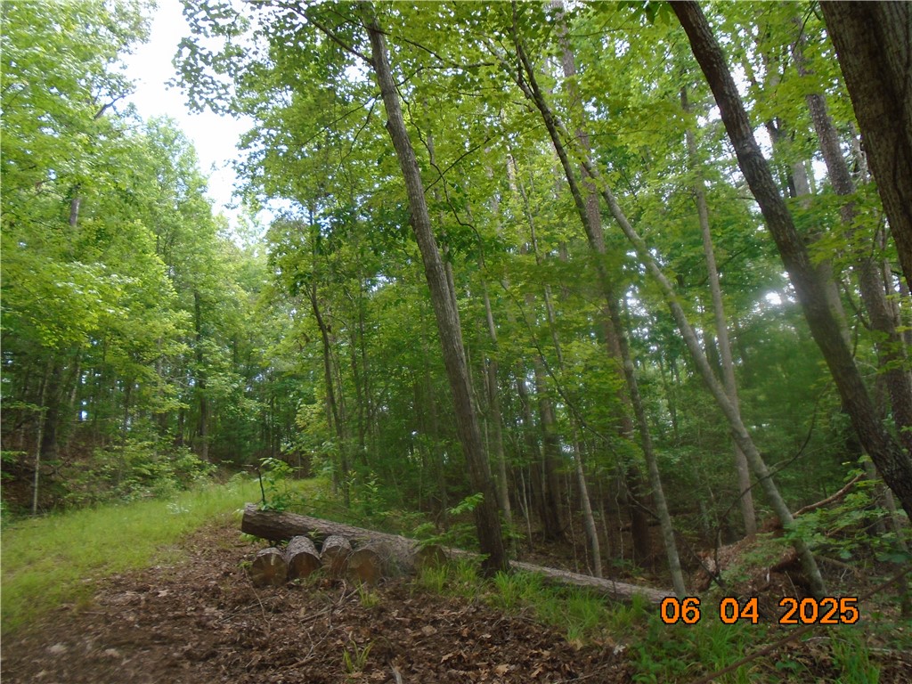 1000 East Cedar Creek Road Sunset, SC 29685 - Photo 2 of 17