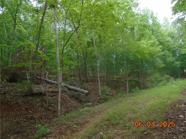 $1,183,800 | 1000 East Cedar Creek Road, Sunset, SC 29685