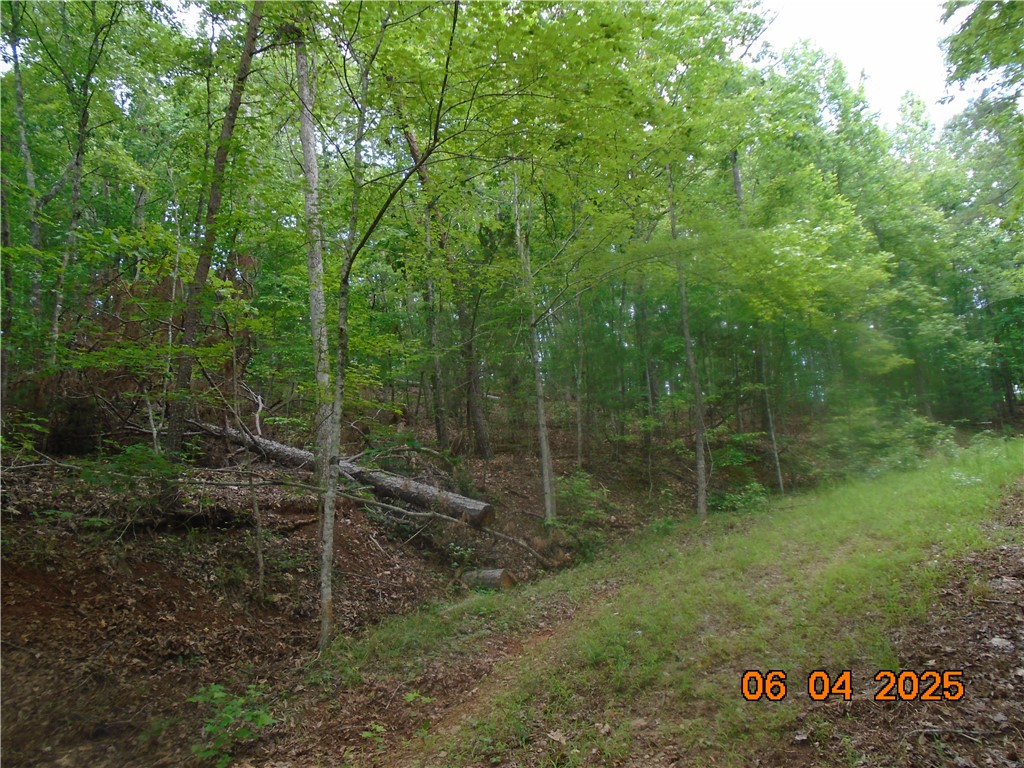1000 East Cedar Creek Road Sunset, SC 29685 - Photo 3 of 17