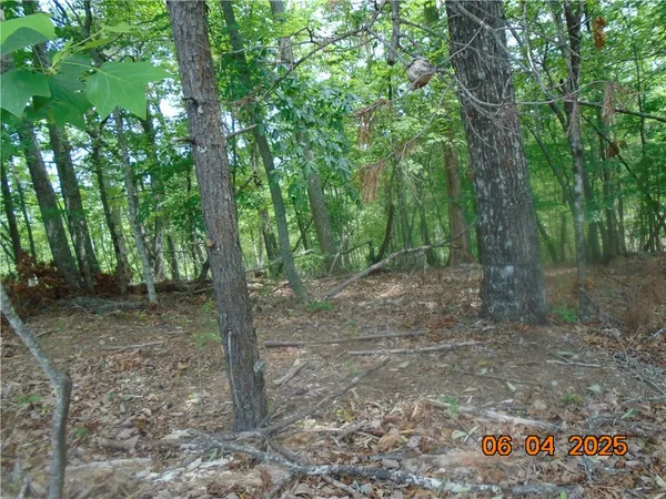 $1,183,800 | 1000 East Cedar Creek Road, Sunset, SC 29685