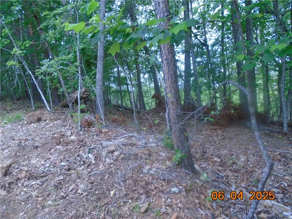 $1,183,800 | 1000 East Cedar Creek Road, Sunset, SC 29685