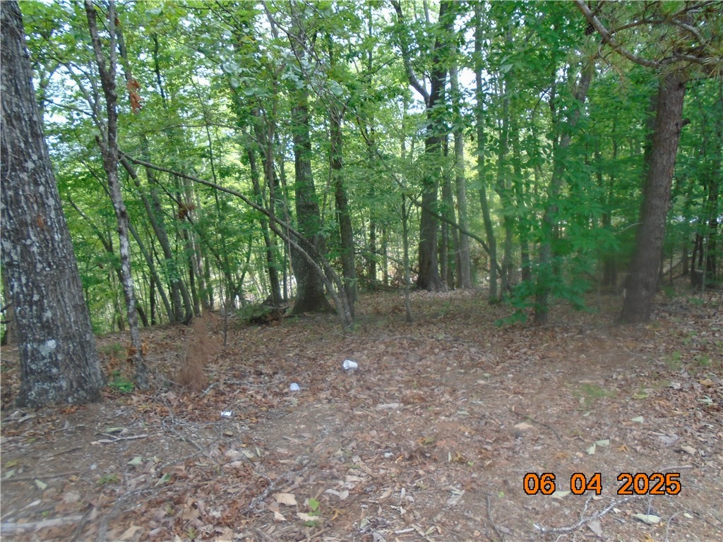 1000 East Cedar Creek Road Sunset, SC 29685 - Photo 7 of 17