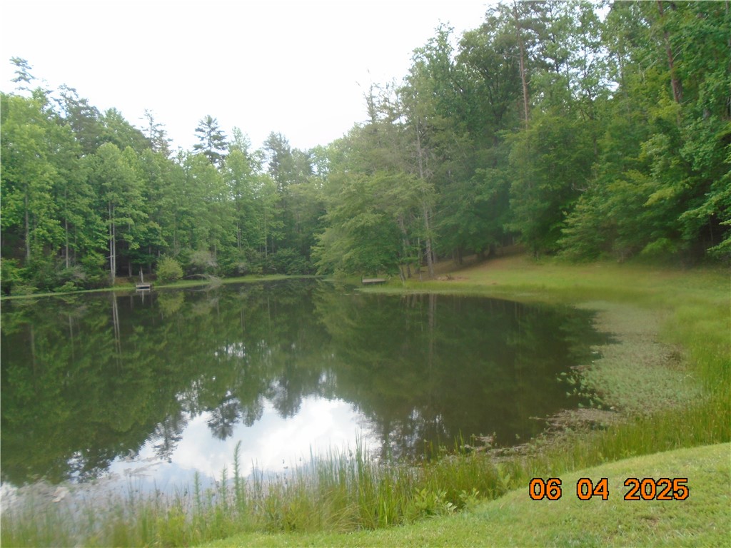 1000 East Cedar Creek Road Sunset, SC 29685 - Photo 9 of 17