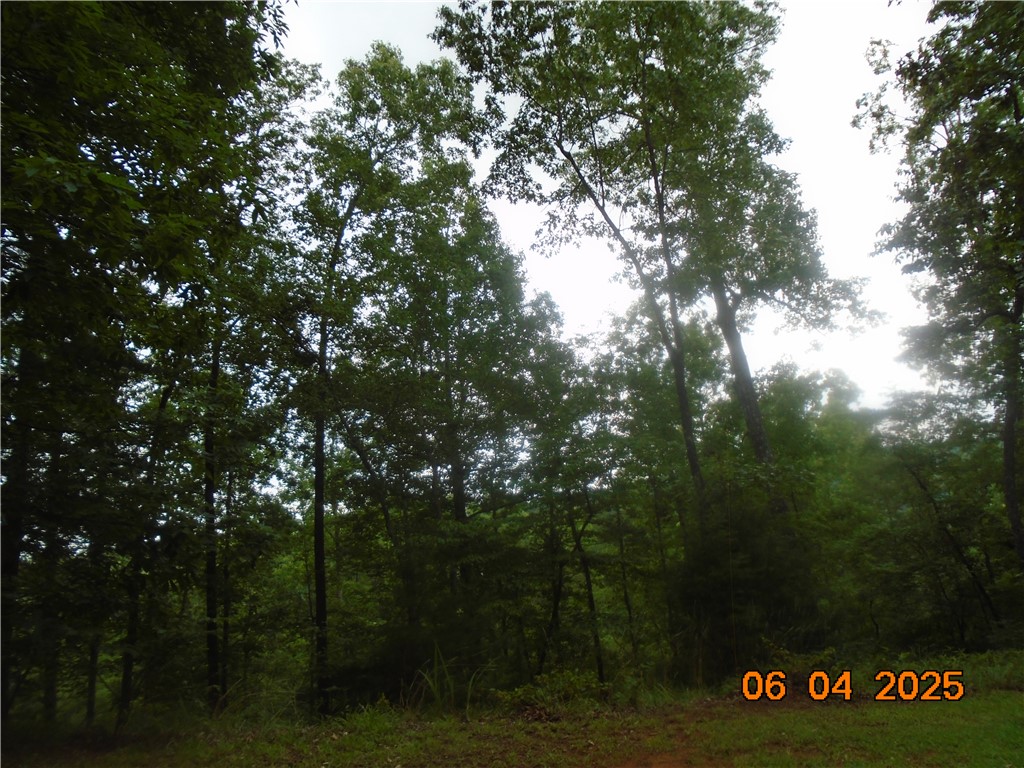 1000 East Cedar Creek Road Sunset, SC 29685 - Photo 10 of 17