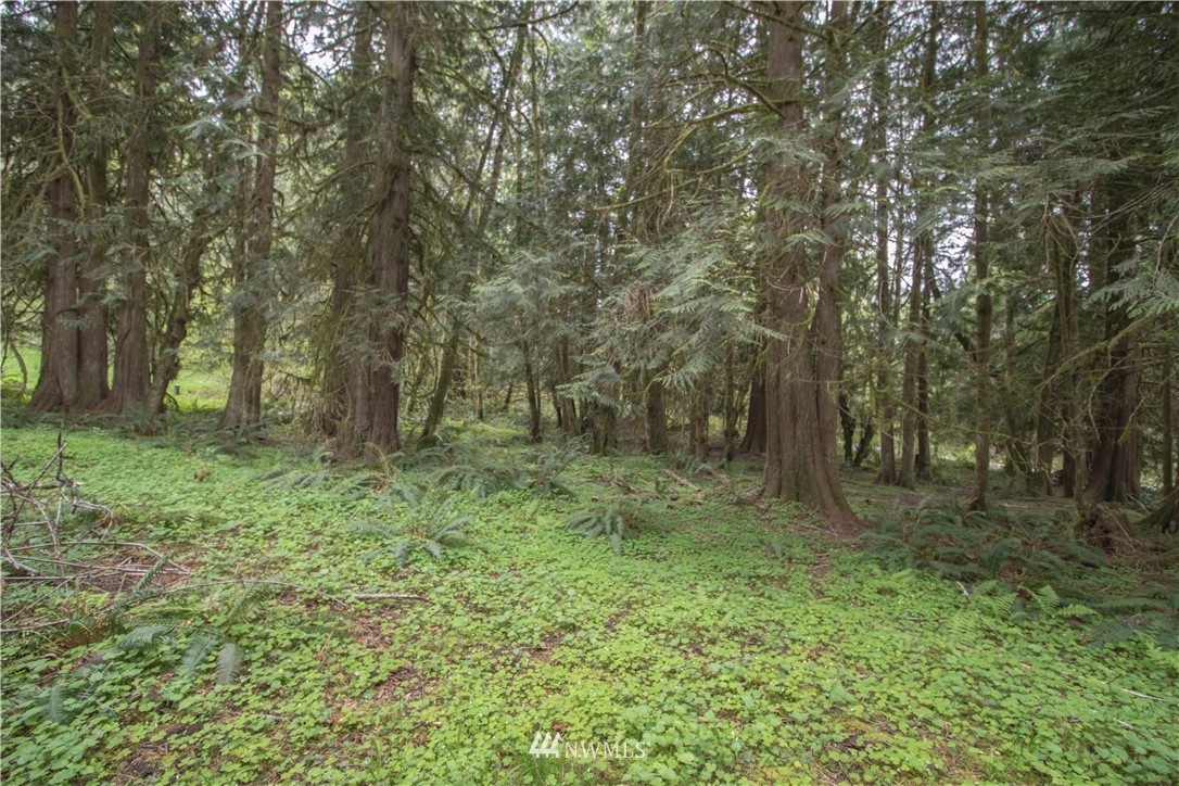184 Koons Road Mossyrock, WA 98564 - Photo 14 of 15 Gallery Image 14