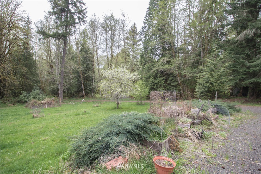 184 Koons Road Mossyrock, WA 98564 - Photo 3 of 15 Gallery Image 3