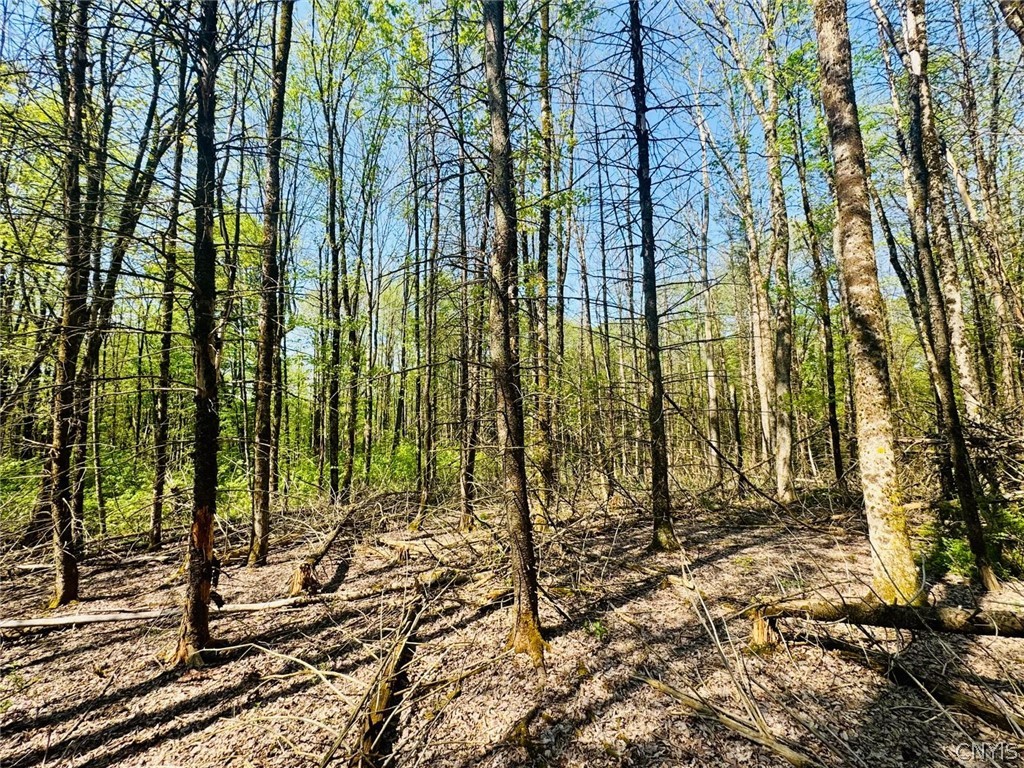 Dog Hollow Road Truxton, NY 13158 - Photo 4 of 9