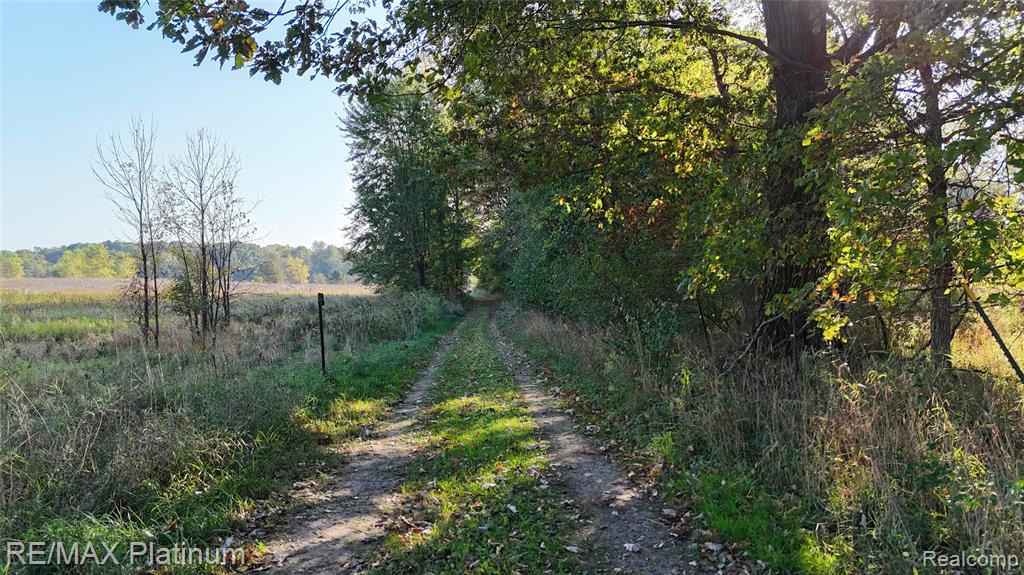 0 Chapman Road Stockbridge, MI 49285 - Photo 15 of 20