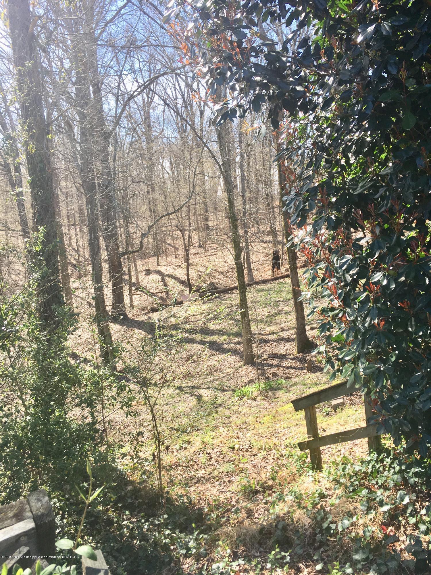 1058 Wilson Ridge Lake Cormorant, MS 38641 - Photo 16 of 17 Backyard View