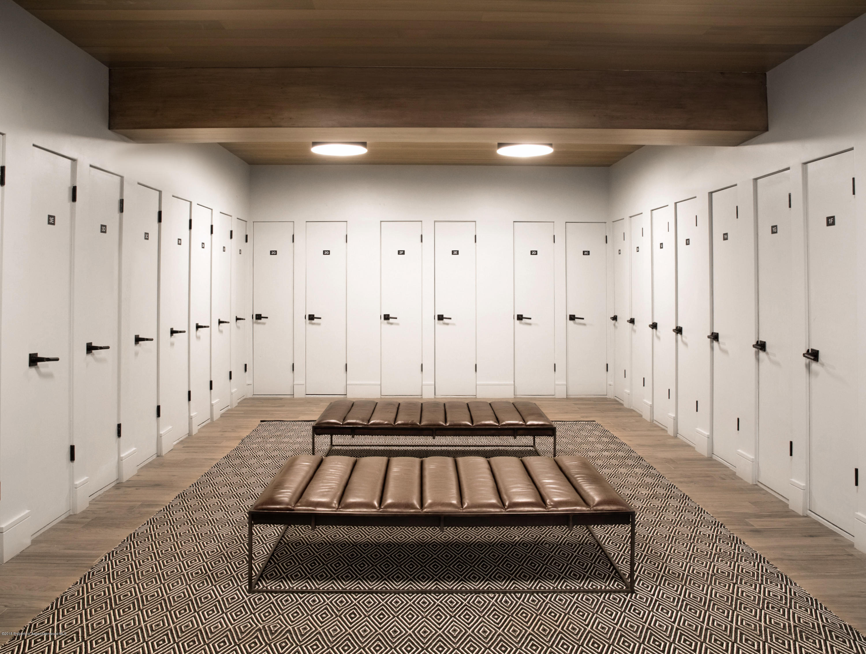205 East Durant Avenue, Unit 1H Aspen, CO 81611 - Photo 13 of 15 Ski Locker