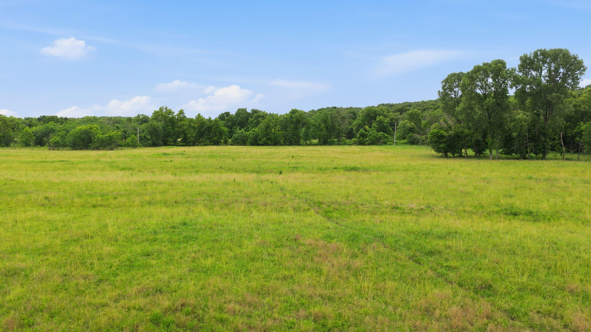 17445 East 418 Road Stockton, MO 65785 - Photo 19 of 27 118 acres