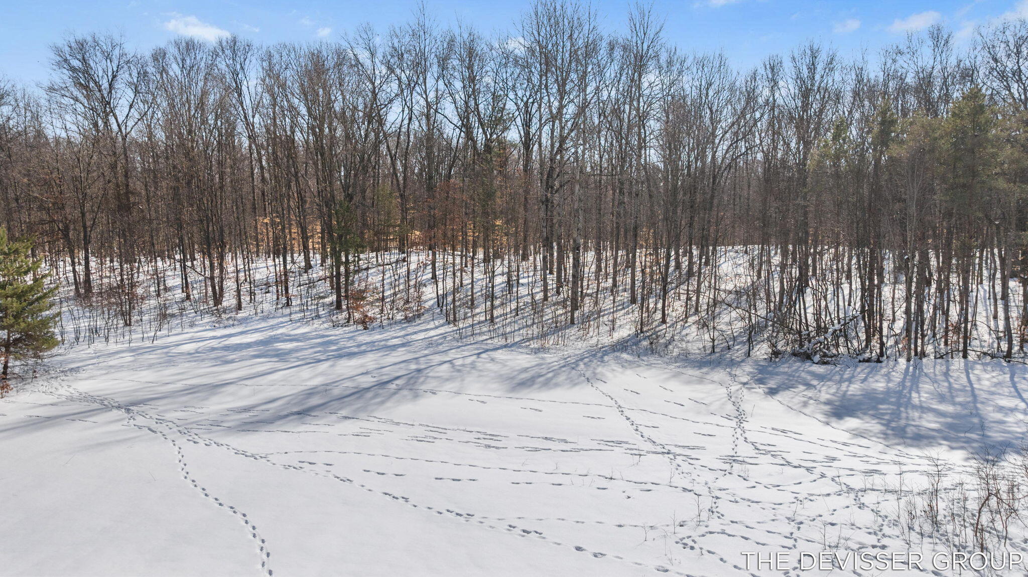 D D Rolling Ridge Road Avenue Allegan, MI 49010 - Photo 21 of 24 21-web-or-mls-13