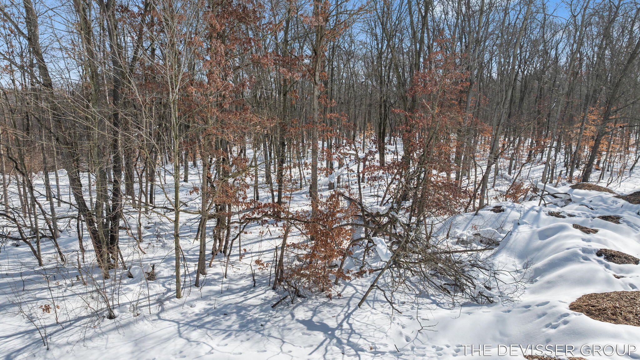 D D Rolling Ridge Road Avenue Allegan, MI 49010 - Photo 23 of 24 23-web-or-mls-17