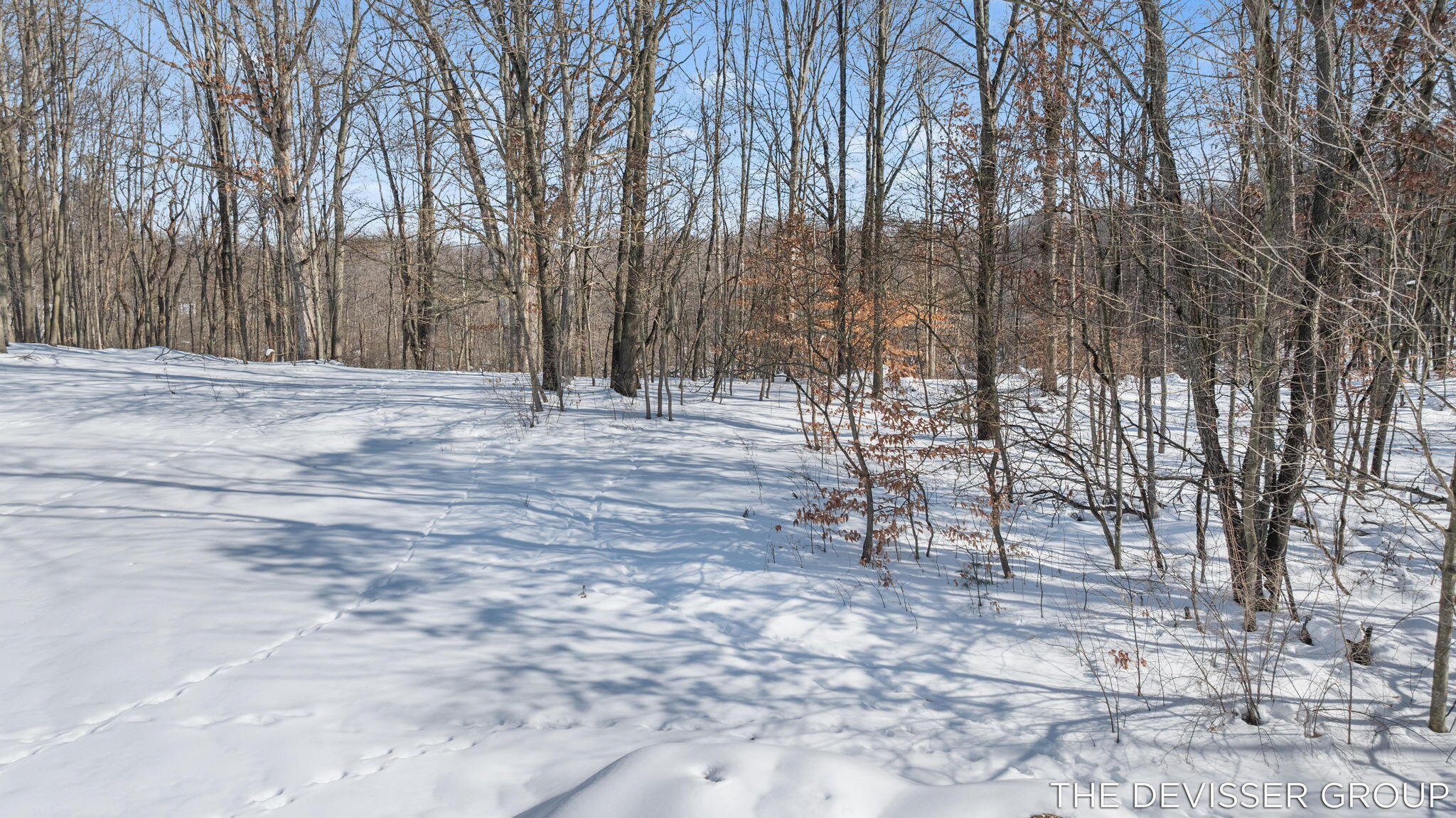 D D Rolling Ridge Road Avenue Allegan, MI 49010 - Photo 24 of 24 24-web-or-mls-18
