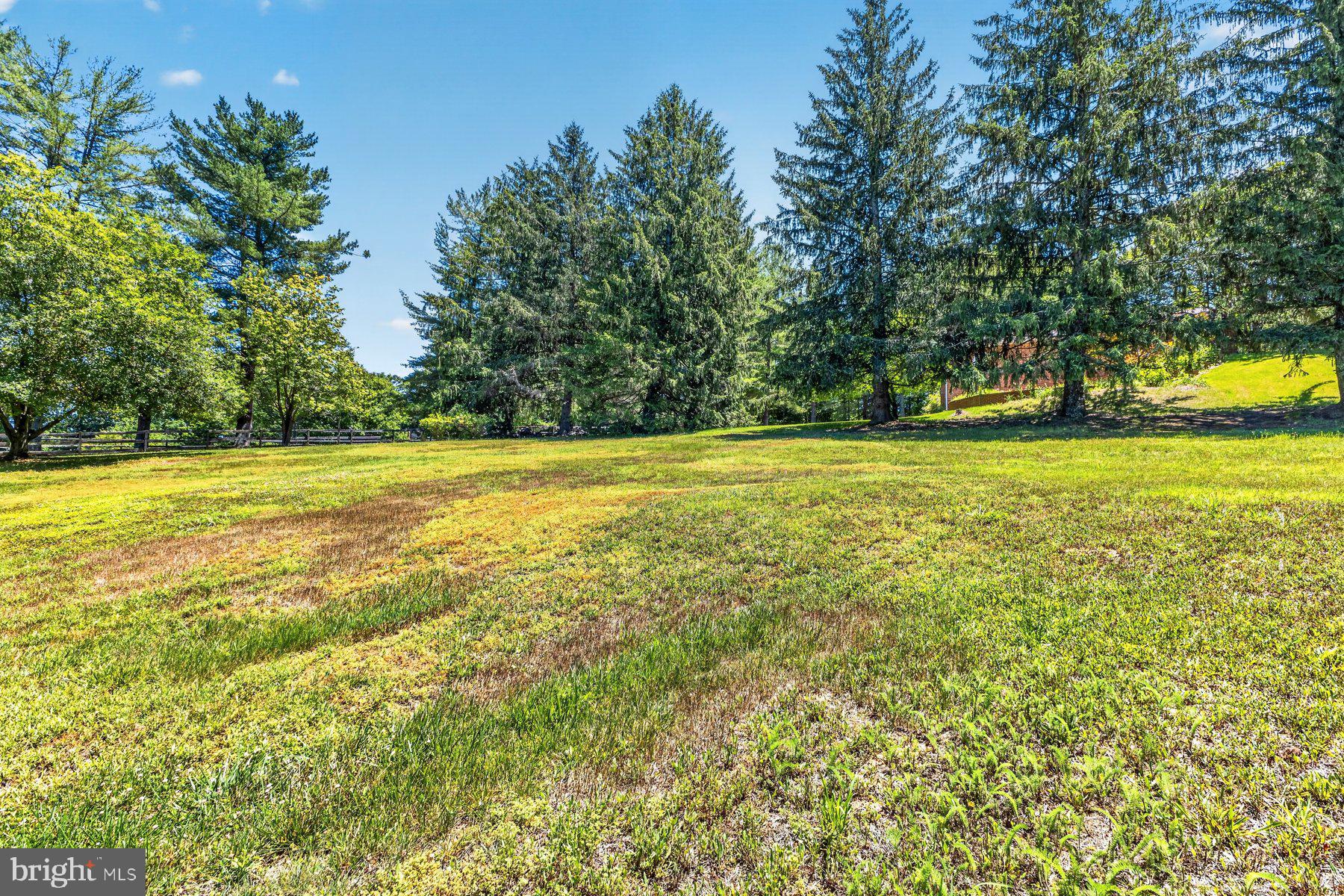 328 Sansbury Road Friendship, MD 20758 - Photo 5 of 35 Yard