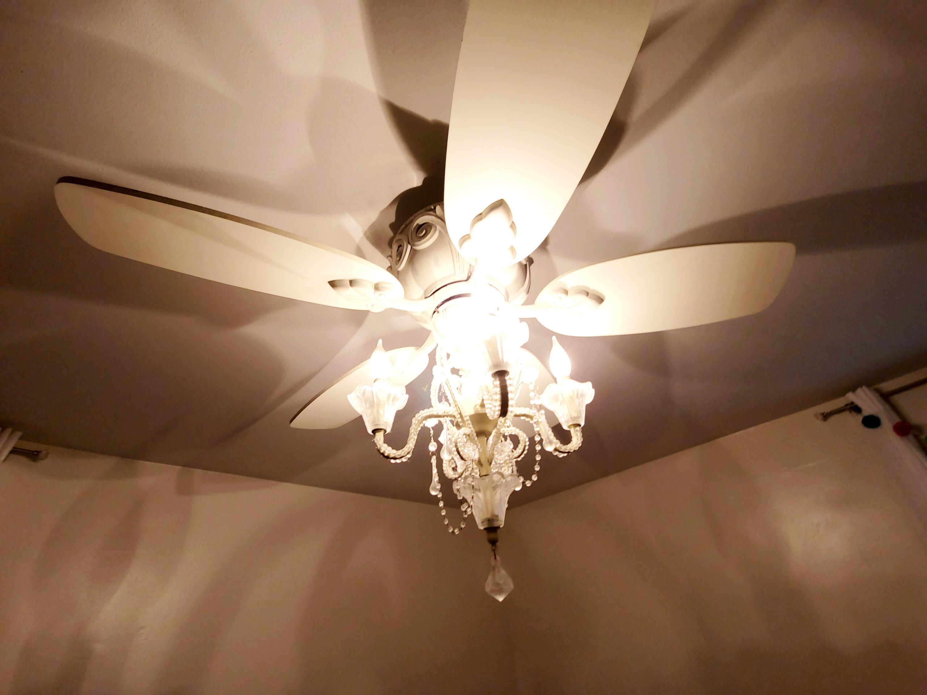 309 West Harding Road Springfield, OH 45504 - Photo 22 of 37 Gallery Image 22