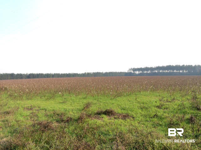 0 Pineview Cemetery Road Brewton, AL 36426 - Photo 1 of 4