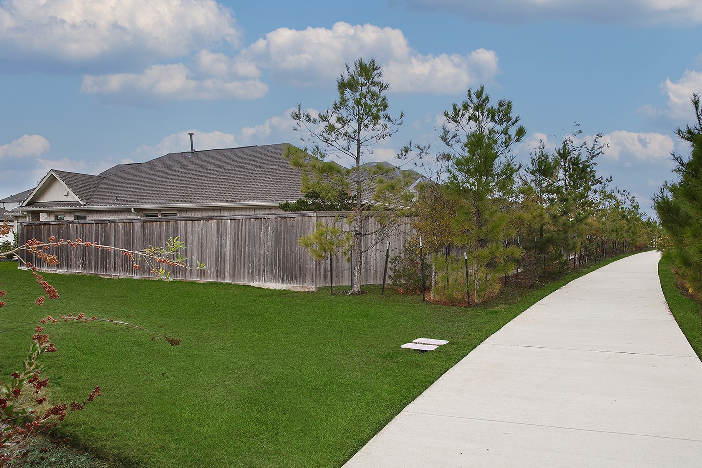 249 Trapper Creek Drive Conroe, TX 77304 - Photo 22 of 23