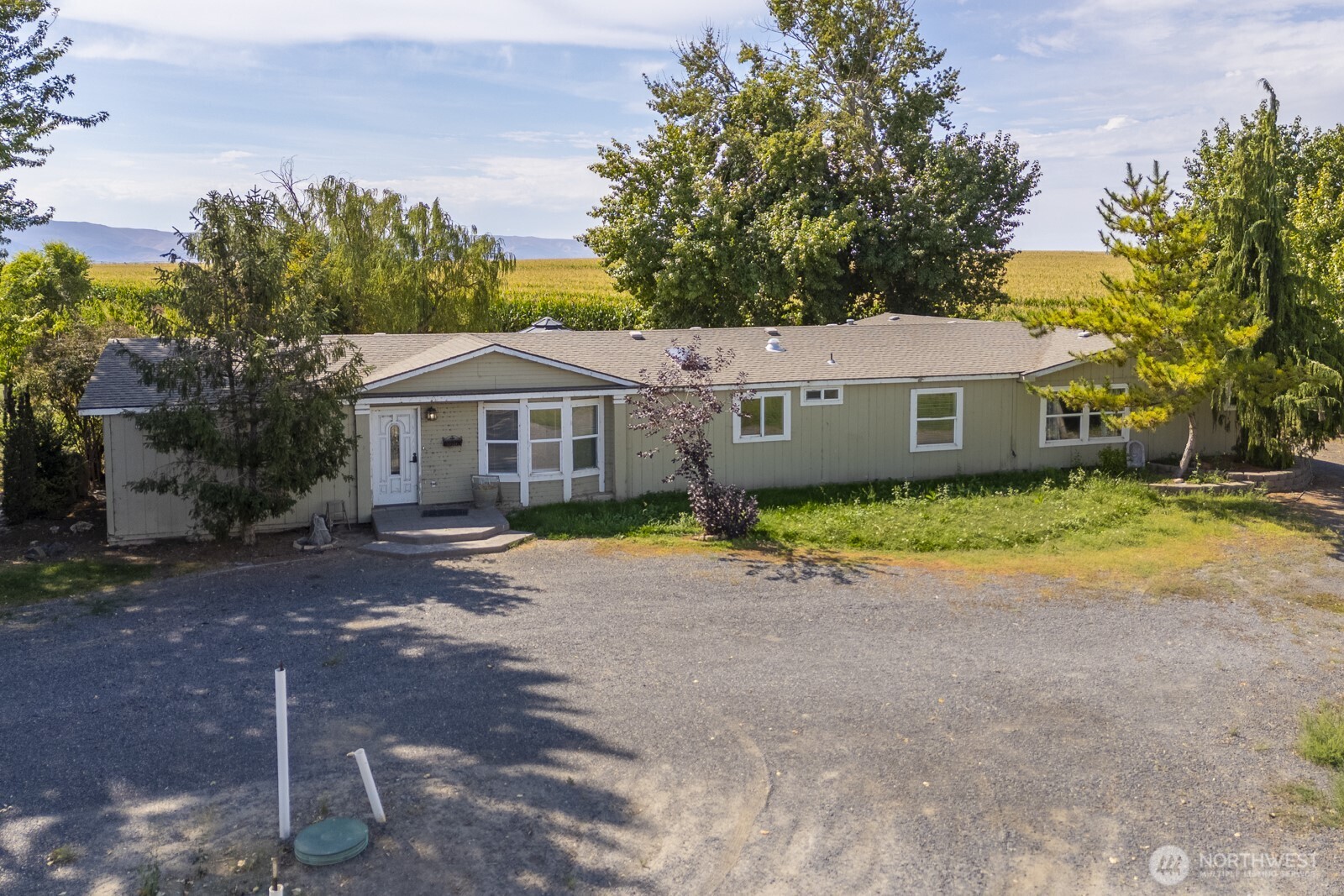 12078 Division Road South Royal City, WA 99357 - Photo 1 of 40 Gallery Image 1