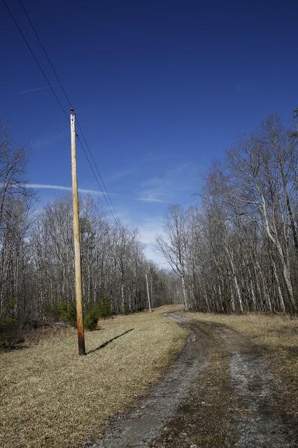 Lot 7 Timberlake Development Spring Spring City, TN 37381 - Photo 2 of 7 _62A5517