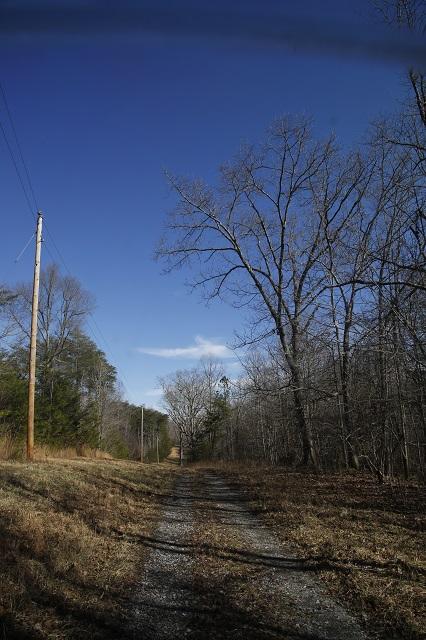 Lot 7 Timberlake Development Spring Spring City, TN 37381 - Photo 3 of 7 _62A5518