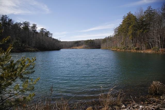 Lot 7 Timberlake Development Spring Spring City, TN 37381 - Photo 4 of 7 _62A5549
