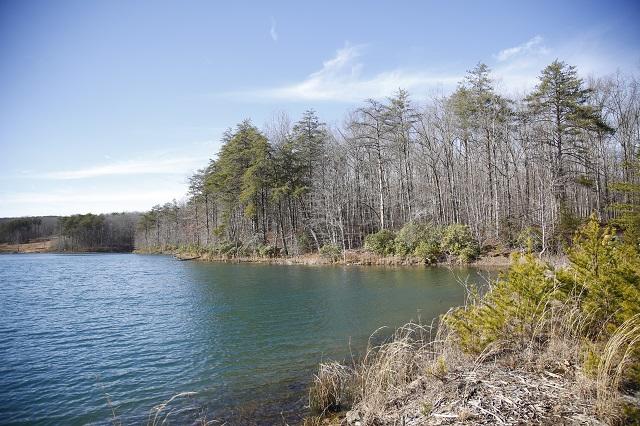 Lot 7 Timberlake Development Spring Spring City, TN 37381 - Photo 5 of 7 _62A5550