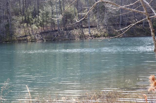 Lot 7 Timberlake Development Spring Spring City, TN 37381 - Photo 7 of 7 _62A5557
