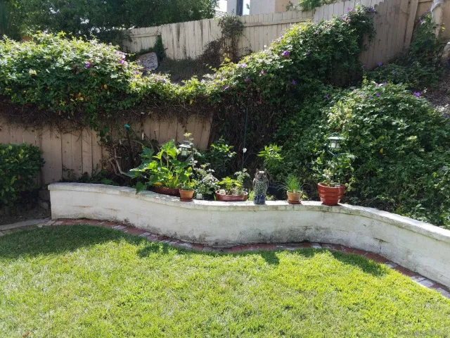 a view of a backyard with plants