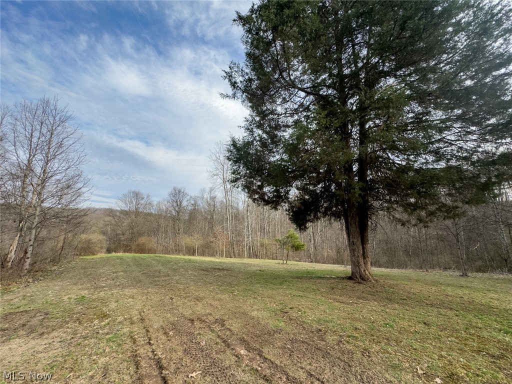 805 Daugherty Road Stockport, OH 43787 - Photo 18 of 28 Gallery Image 18