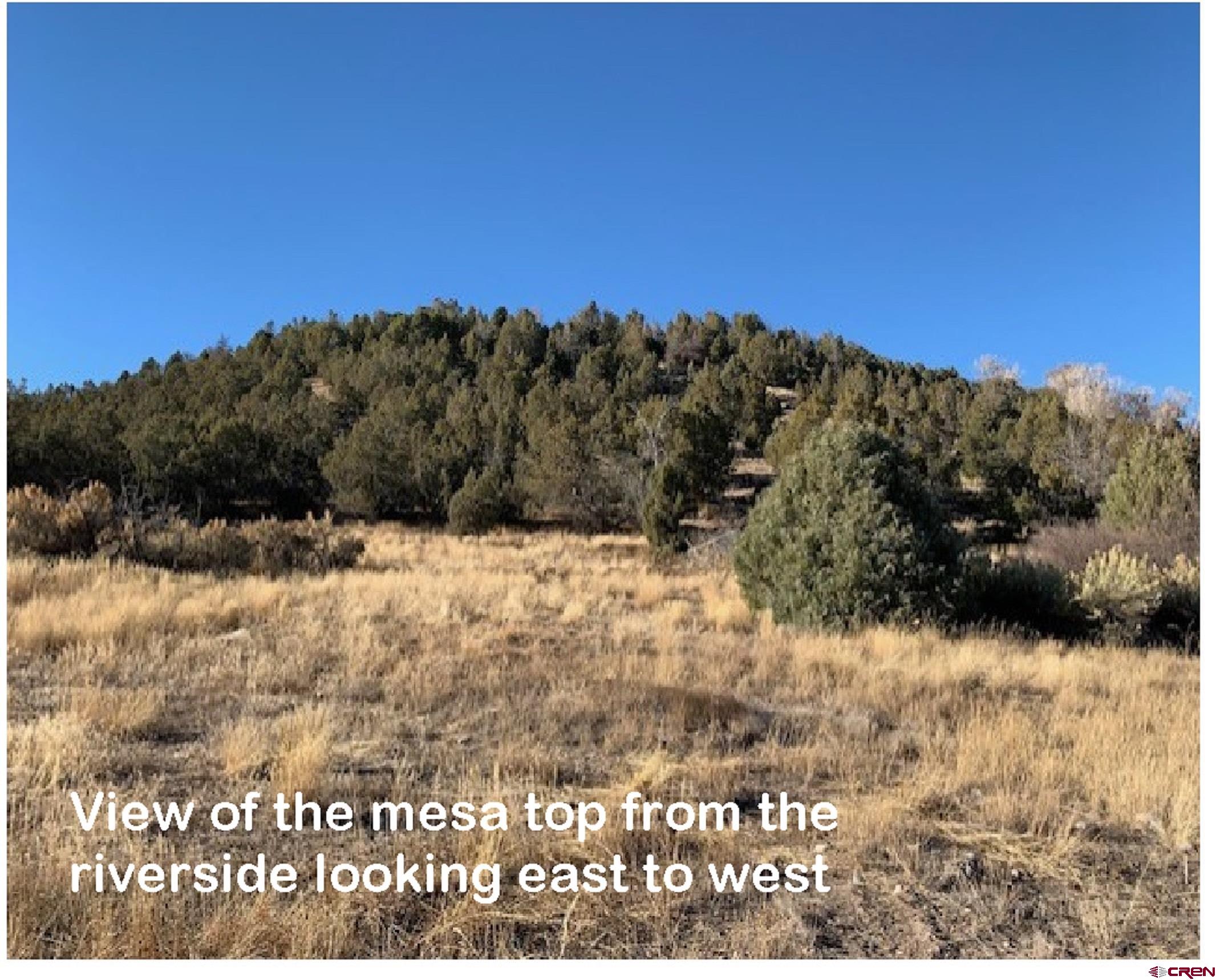 200 Thoroughbred Road Durango, CO 81303 - Photo 8 of 19 a view of outdoor space with mountain in the background