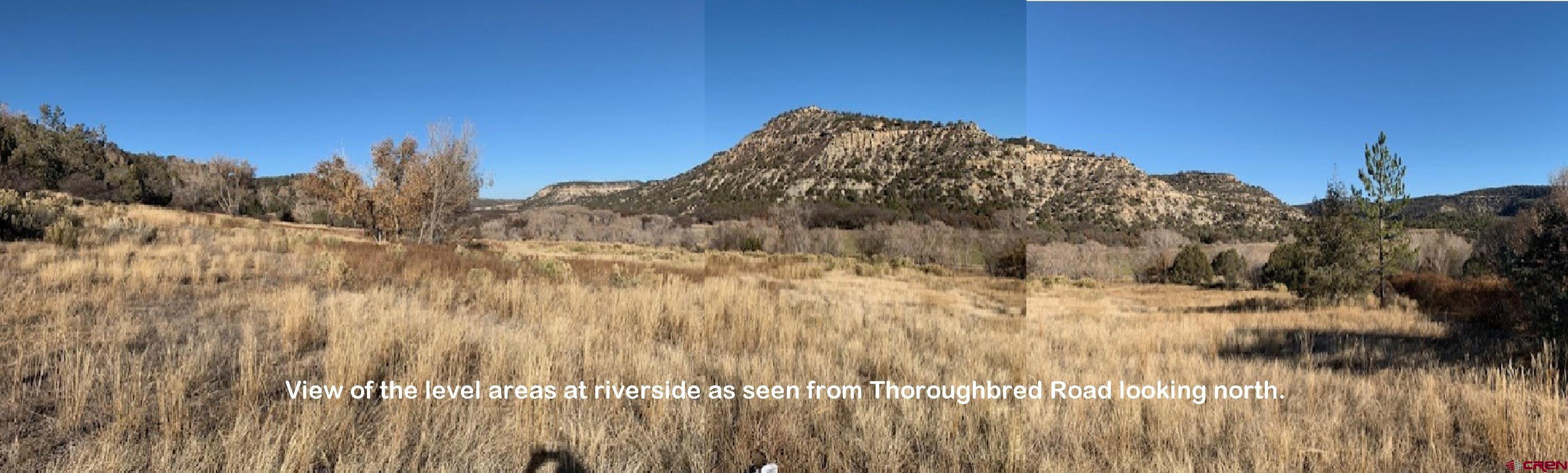 200 Thoroughbred Road Durango, CO 81303 - Photo 9 of 19 a view of a field
