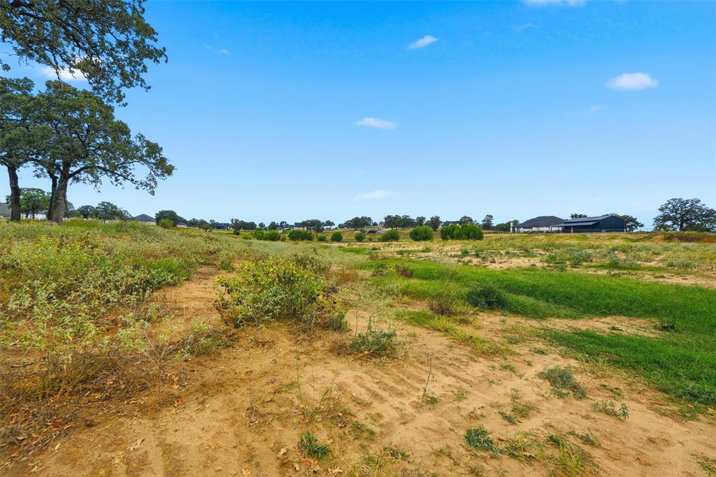 206 Rio Rancho Drive Decatur, TX 76234 - Photo 12 of 17 a view of a lake with houses in the back