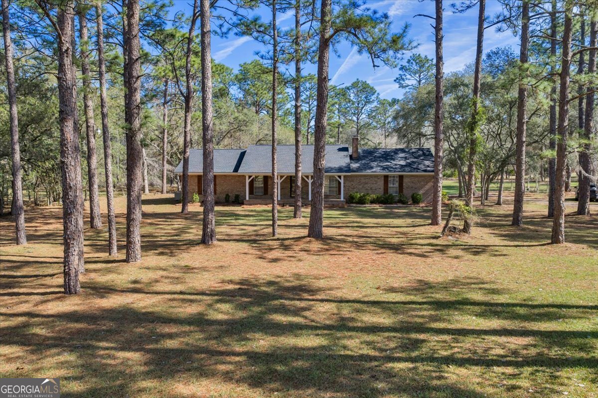 6501 Harley Trail Blackshear, GA 31516 - Photo 4 of 69 a view of street view