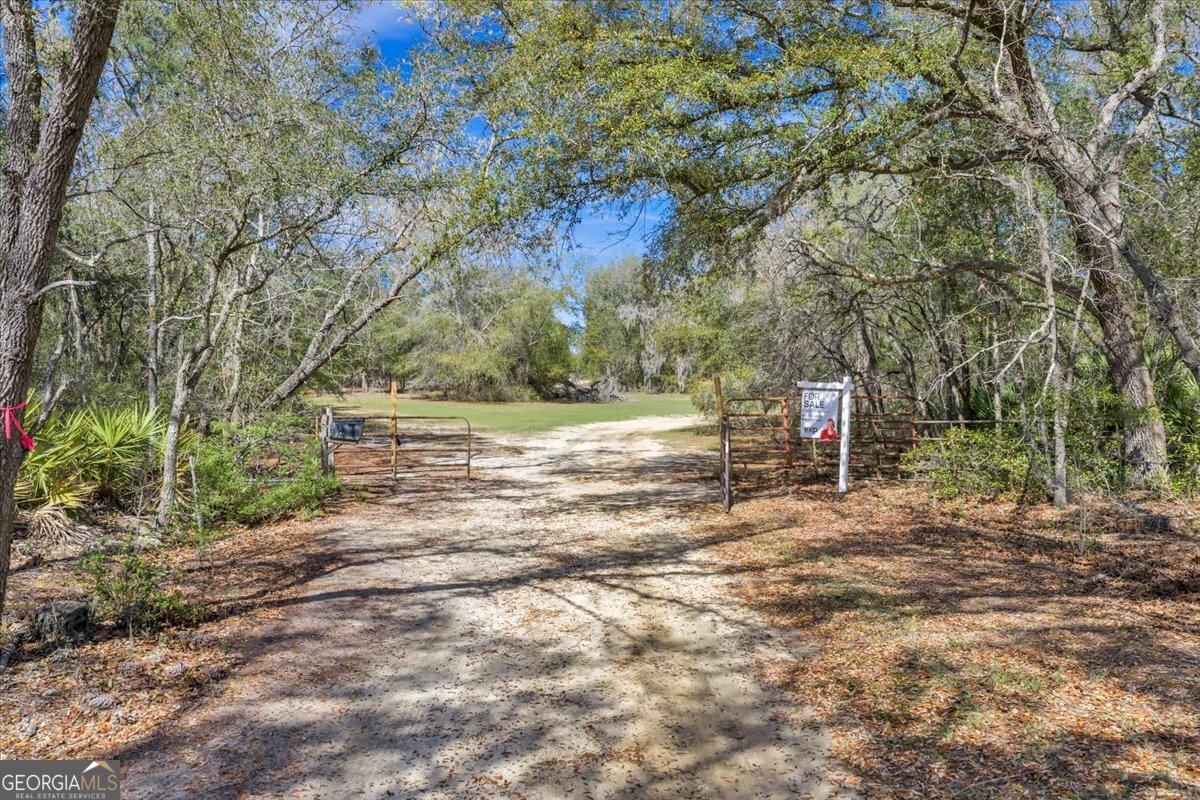 6501 Harley Trail Blackshear, GA 31516 - Photo 52 of 69 a view of a yard with trees