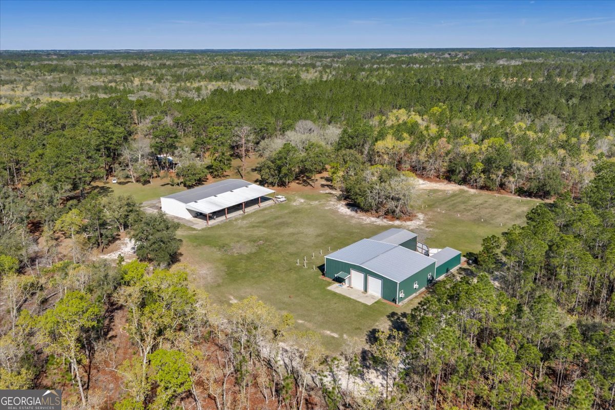 6501 Harley Trail Blackshear, GA 31516 - Photo 55 of 69 a view of a field with an ocean