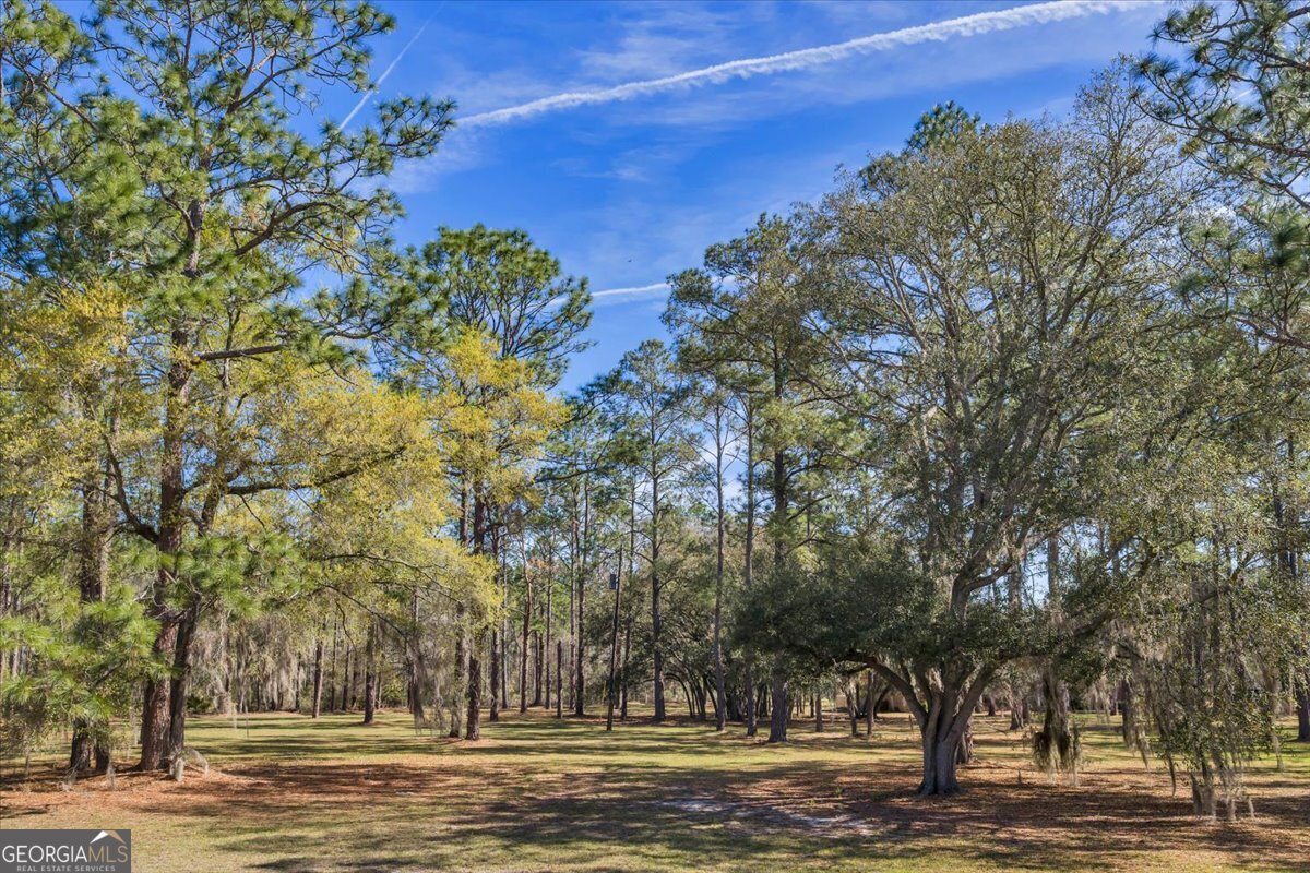 6501 Harley Trail Blackshear, GA 31516 - Photo 56 of 69 a view of a trees with a yard