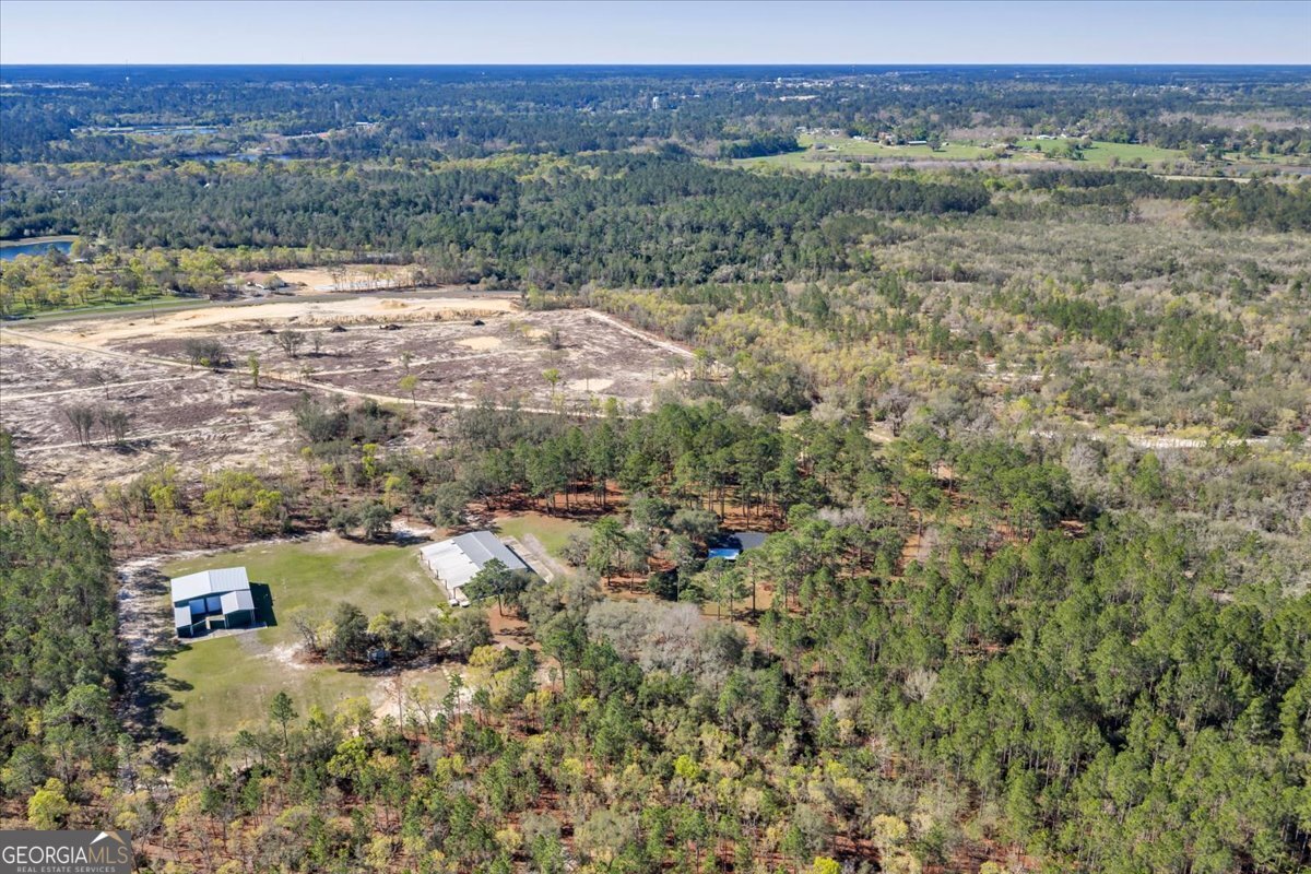 6501 Harley Trail Blackshear, GA 31516 - Photo 57 of 69 a view of lake with mountain