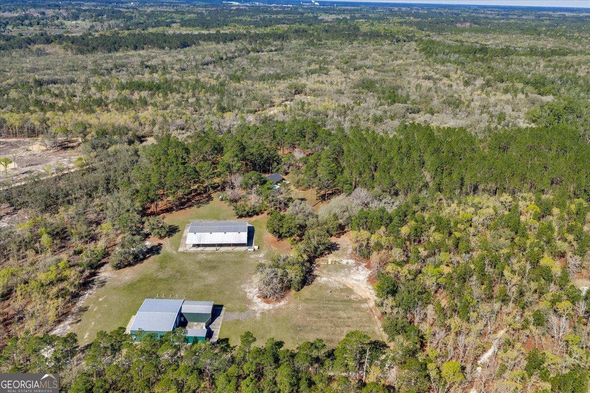 6501 Harley Trail Blackshear, GA 31516 - Photo 59 of 69