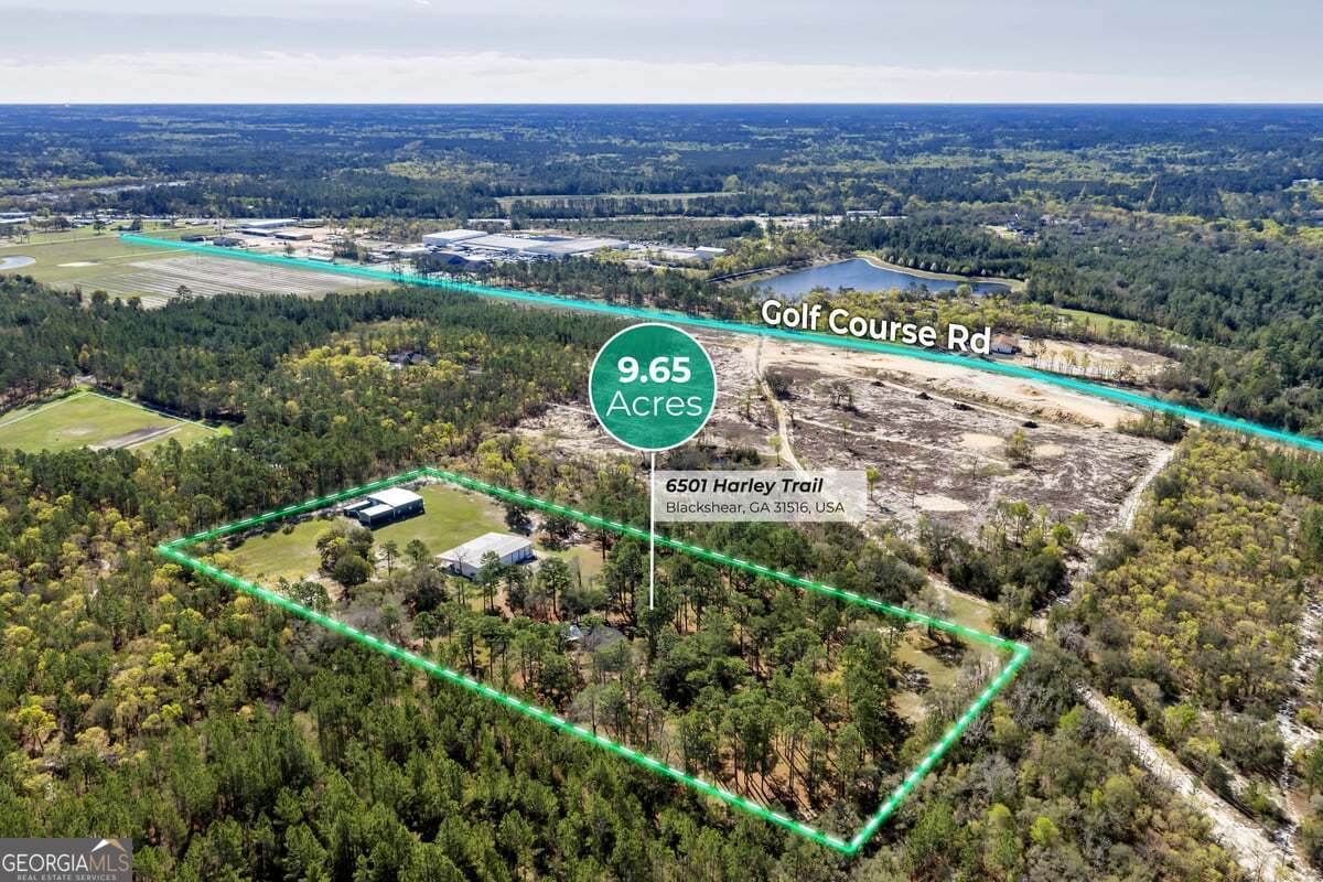 6501 Harley Trail Blackshear, GA 31516 - Photo 61 of 69 a view of a city with lush green forest
